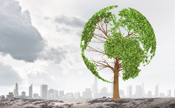 走進(jìn)堅(jiān)豐